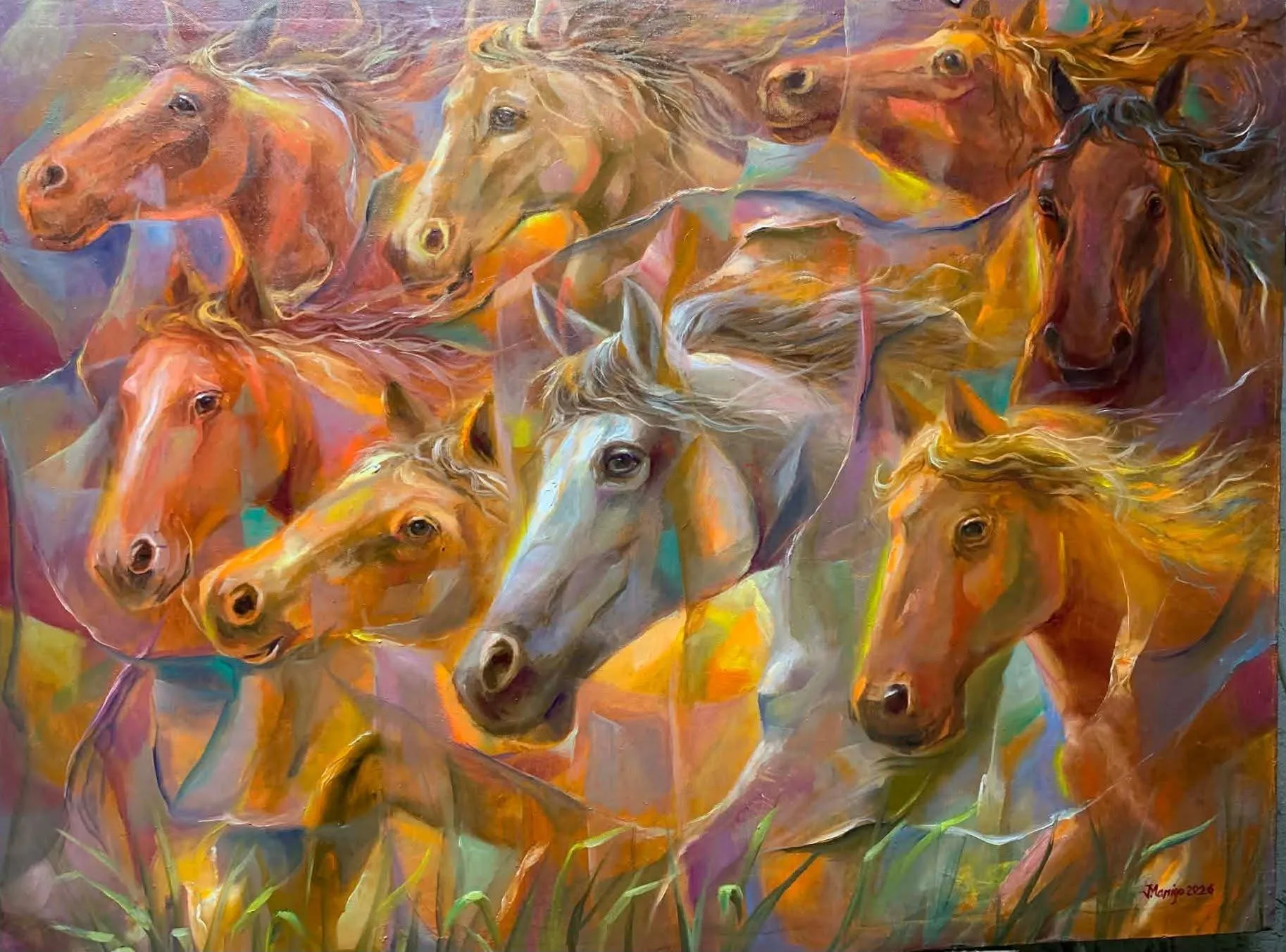 Animals